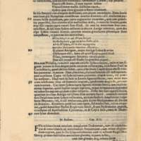 Mythologia, Venise, 1567 - VI, 11 : De Capra coelesti, 182v°