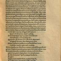 Mythologia, Francfort, 1581 - IV, 14 : De Cupidine, p. 409