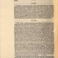 Mythologia, Venise, 1567 - X[109-110] : De Orione, 303v°