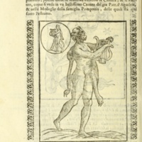 Nove Imagini, Padoue, 1615 - Annot. 24 : Hercule à la cithare