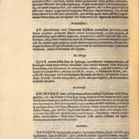 Mythologia, Venise, 1567 - X [137] : De Momo [et conclusion], 306v°