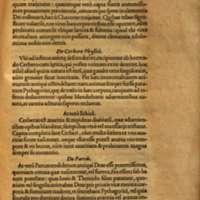 Mythologia, Francfort, 1581 - X[21-22] : De Cerbero Physice, p. 1037