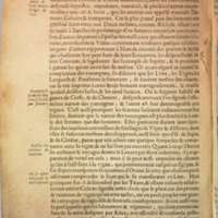Mythologie, Lyon, 1612 - V, 13 : De Bacchus, p. [520]