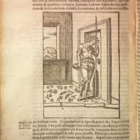 Mythologie, Lyon, 1612 - V, 13 : De Bacchus, p. [504]