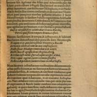 Mythologia, Francfort, 1581 - V, 13 : De Baccho, p. 497