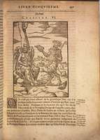 Mythologie, Lyon, 1612 - V, 6 : De Pan, p. [459]