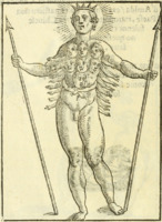 Cartari_1615_Indiani_14_pxxii.jpg_g.png