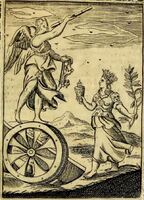 115_p419_G.JPG