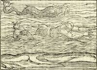 Cartari_1615_072_p234_g.JPG