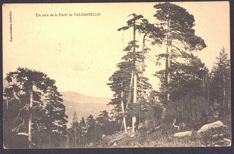 Carte postale de John-Antoine Nau à Toussaint Luca, 1909