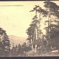 Carte postale de John-Antoine Nau à Toussaint Luca, 1909