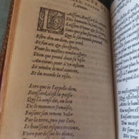 Au Seigneur de Ronssard, Contre l'Amour
