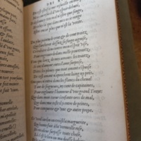 1555_Ce verd jardin où croist la marguerite_[Sonnet XLV]