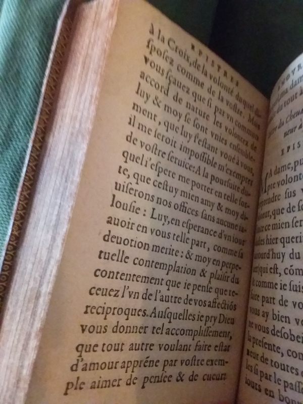 s.d._Epistresfamilieresetamoureusesd'EstiennePasquierParisien_Épître IX