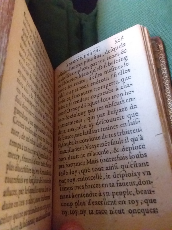 s.d._Epistresfamilieresetamoureusesd'EstiennePasquierParisien_Épître XVI