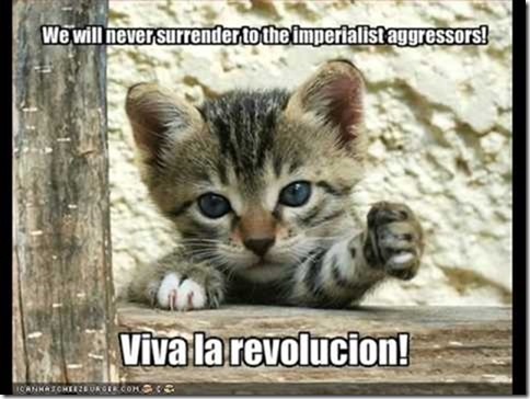 viva la revolucion.jpg