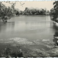 Lettre d'Armand Robin à Jean Paulhan (25 septembre 1957)