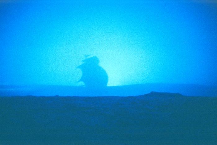1994 : L’isola degli schiavi, Photos du spectacle