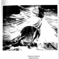 1991 : La finta serva, Programme