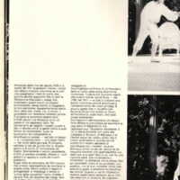 1985 : Il trionfo dell’amore, Programme