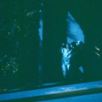 1985 : Il trionfo dell’amore, Photos du spectacle