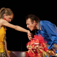 2013 : Il gioco dell’amore e del caso, (Davide Cornacchione) photos