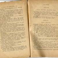 1907 : Il giuoco dell’amore e del caso (Felicina Sacchetti Parvis)