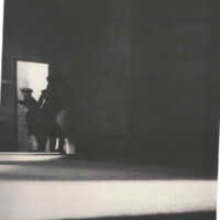 1985 : Il trionfo dell’amore, Programme