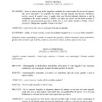 2003 : La prova (Carlo Pasquini)
