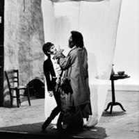 1971 : La finta serva ovvero il furbo punito, Photos du spectacle