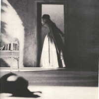1985 : Il trionfo dell’amore, Programme