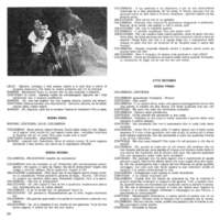 1989 : La sorpresa dell’amore (Sandro Sequi)