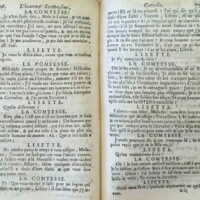 1733 : L’heureux stratagème