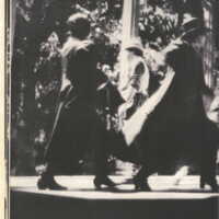 1985 : Il trionfo dell’amore, Programme