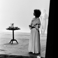 1971 : La finta serva ovvero il furbo punito, Photos du spectacle