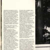 1985 : Il trionfo dell’amore, Programme