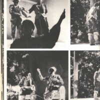 1985 : Il trionfo dell’amore, Programme
