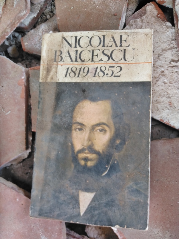 Bibliothèque Mutants _00022-20231105_161328.jpg