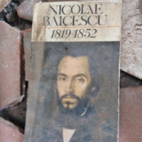 Bibliothèque Mutants _00022-20231105_161328.jpg
