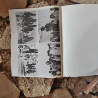 Bibliothèque Mutants _00285-20231105_173556.jpg