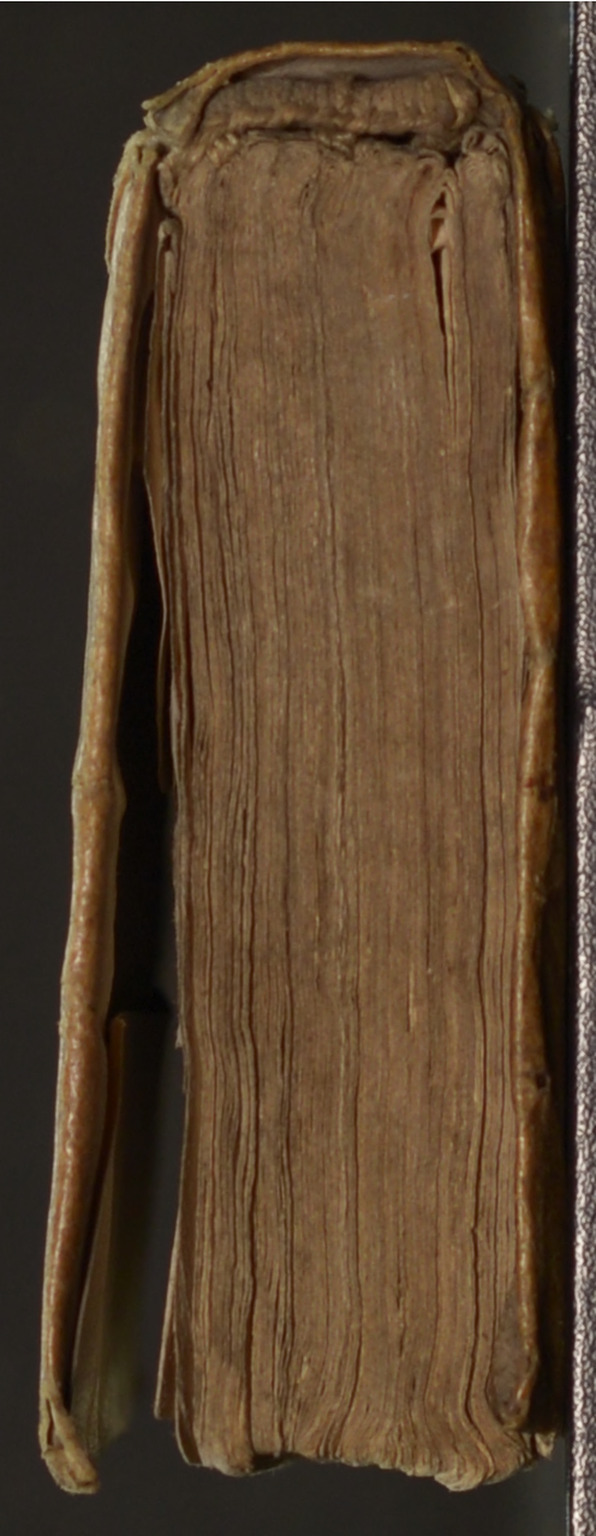 1597 - Matthieu Guillemot - Trésor d’amour - BnF Arsenal