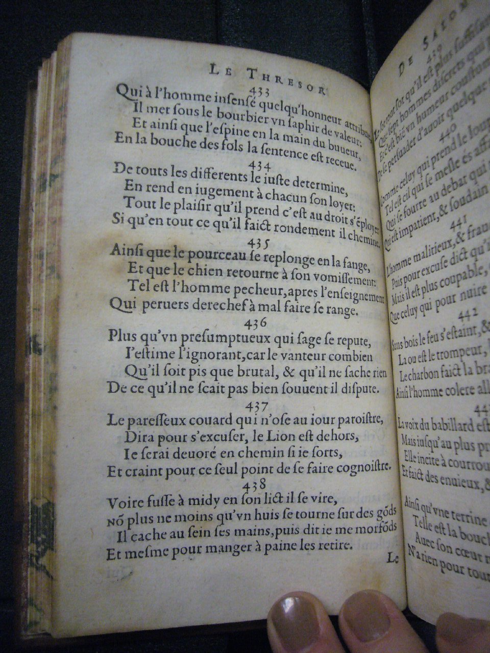 1591 - Richard Schilders - Trésor de Salomon - Versailles