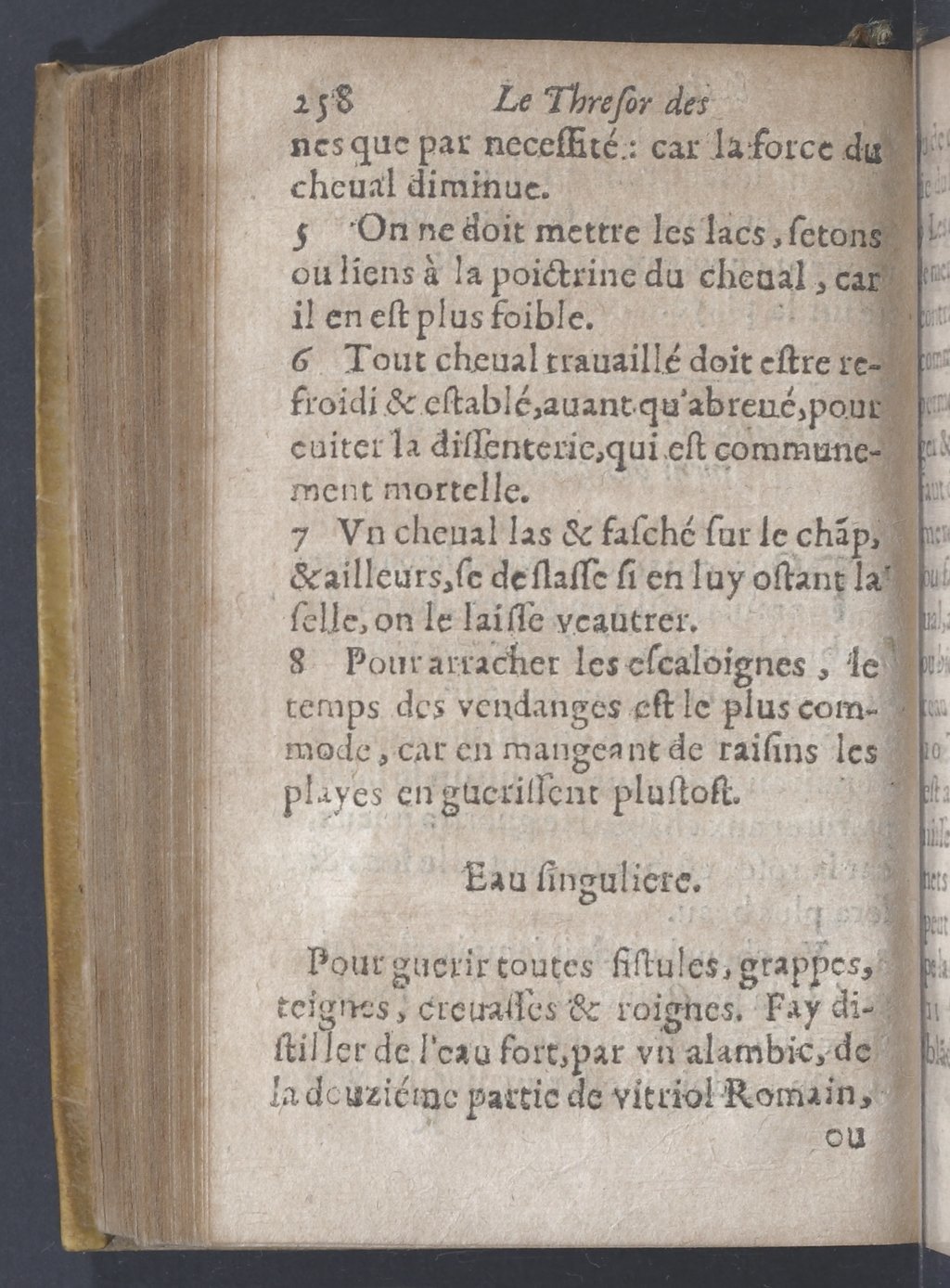 1619 - Pierre Rigaud - Trésor des bêtes chevalines - BnF 1619 - Pierre Rigaud - Trésor des bêtes chevalines - BnF