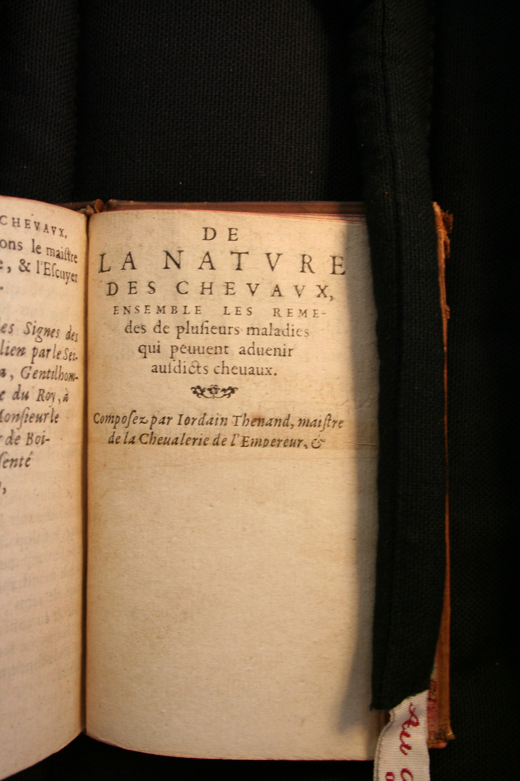 1591 - Pierre Chastaing et Benoît Rigaud - Trésor des bêtes chevalines - BM Bordeaux