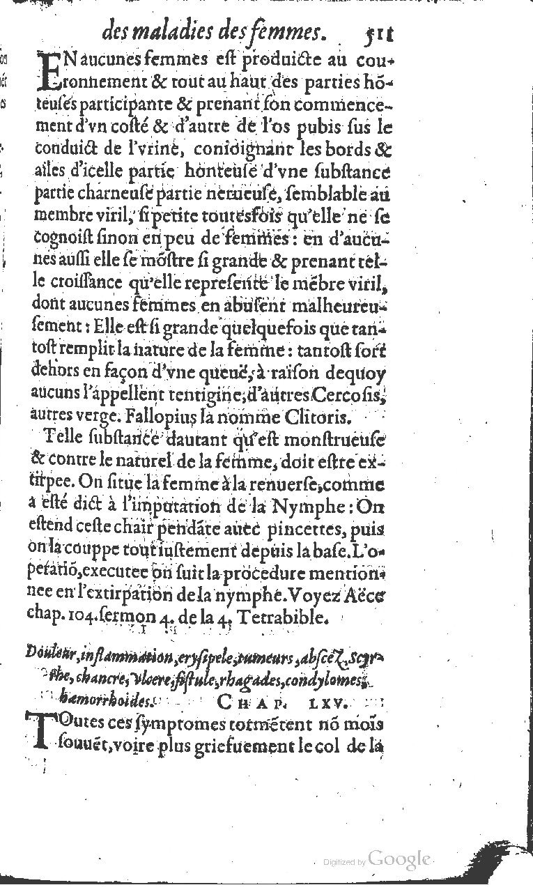 1617 - Jean Le Bouc - Trésor des remèdes secrets - BM Lyon