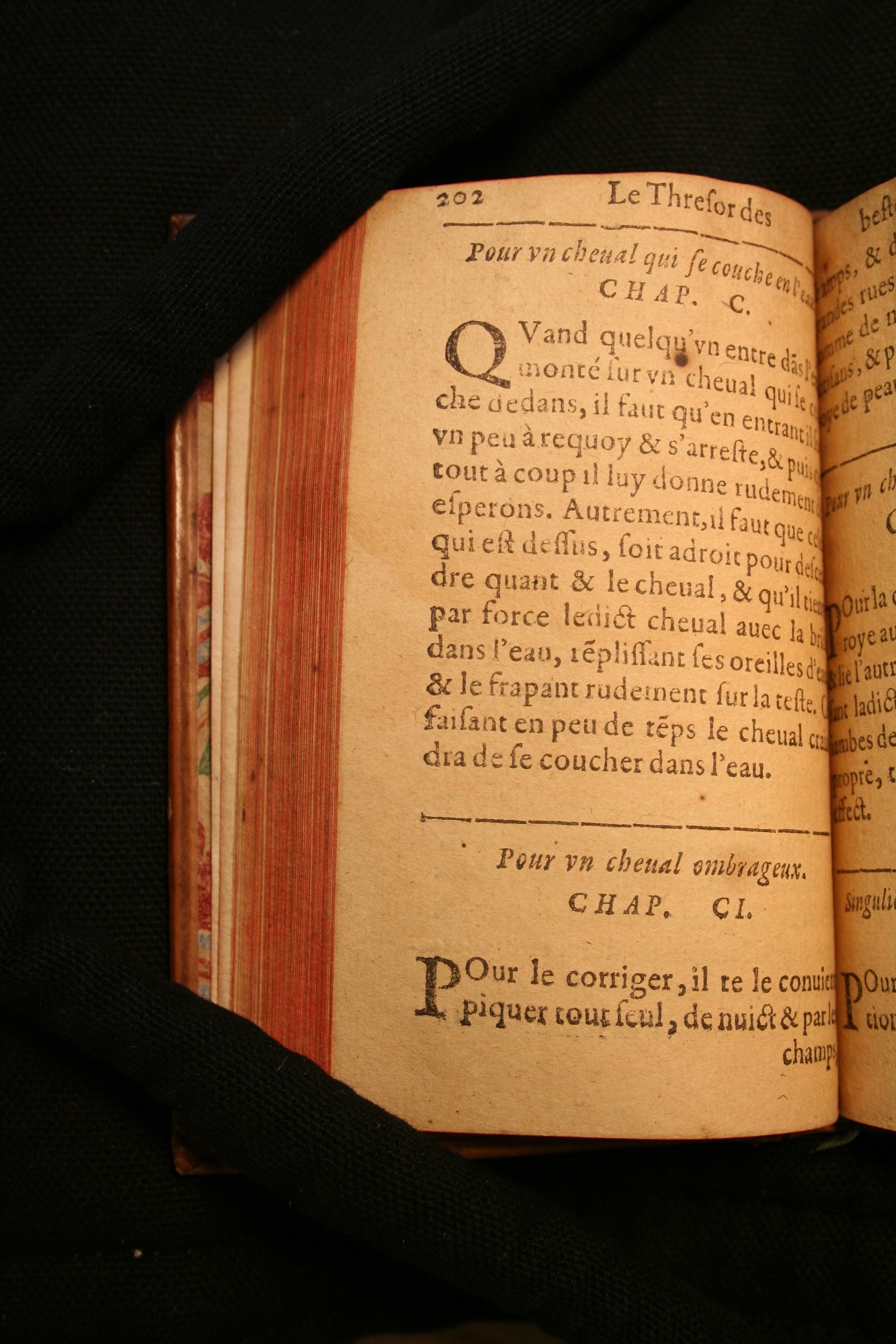 1591 - Pierre Chastaing et Benoît Rigaud - Trésor des bêtes chevalines - BM Bordeaux