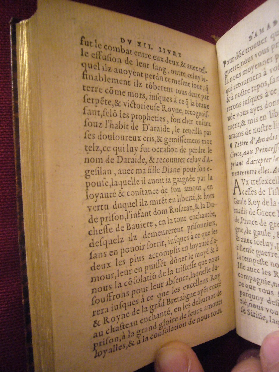 1564 - Vincent Norment et Jeanne Bruneau - Trésor des Amadis - BnF