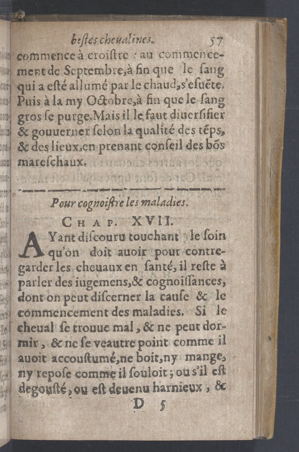 1619 - Pierre Rigaud - Trésor des bêtes chevalines - BnF 1619 - Pierre Rigaud - Trésor des bêtes chevalines - BnF