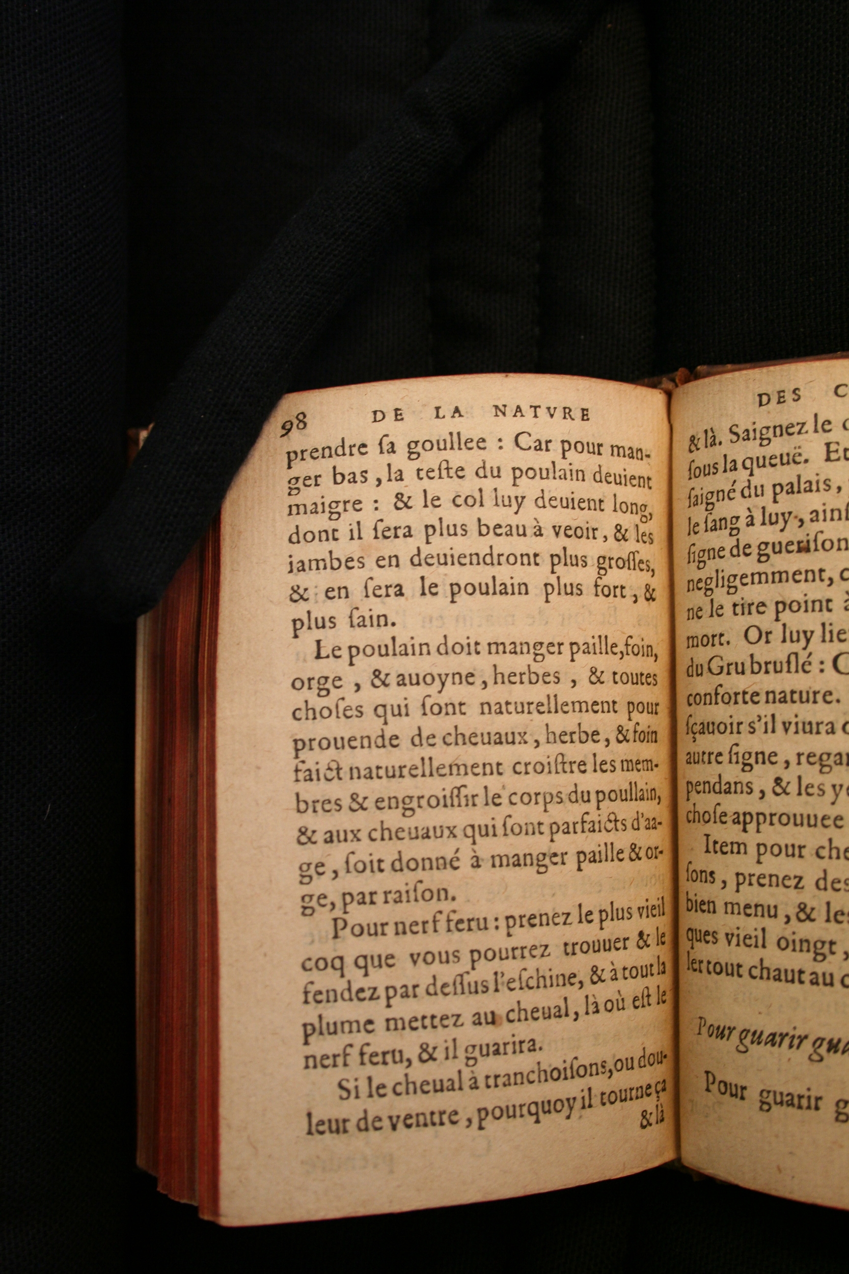 1591 - Pierre Chastaing et Benoît Rigaud - Trésor des bêtes chevalines - BM Bordeaux