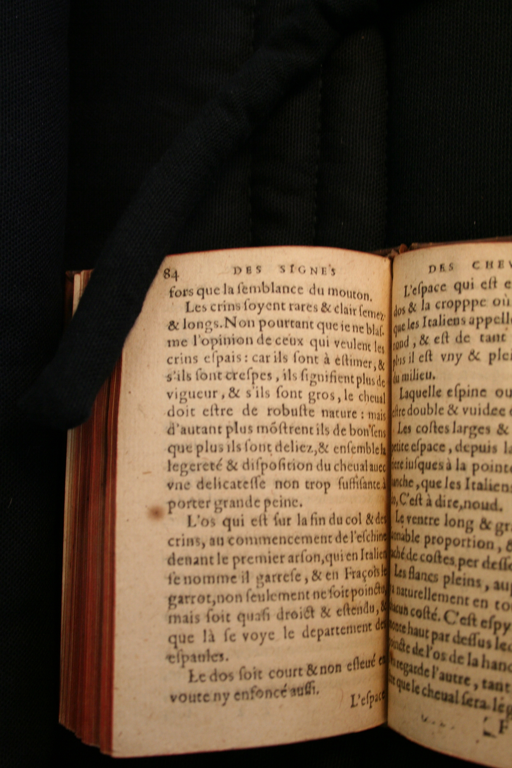 1591 - Pierre Chastaing et Benoît Rigaud - Trésor des bêtes chevalines - BM Bordeaux